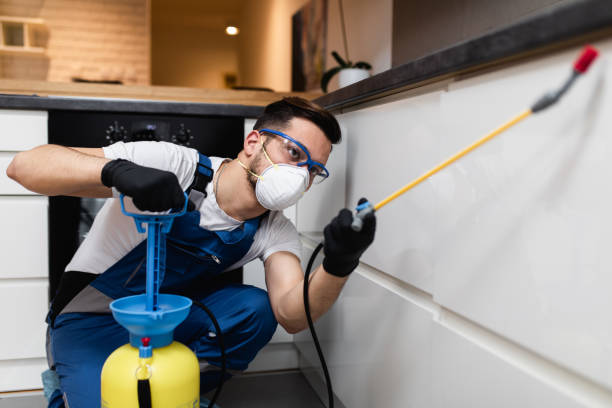 Best Affordable Pest Control Services  in New Castle, DE