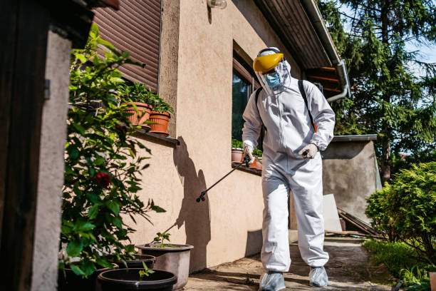 Best Bed Bug Extermination  in New Castle, DE
