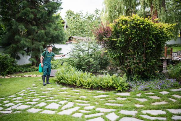 Best Residential Pest Control  in New Castle, DE