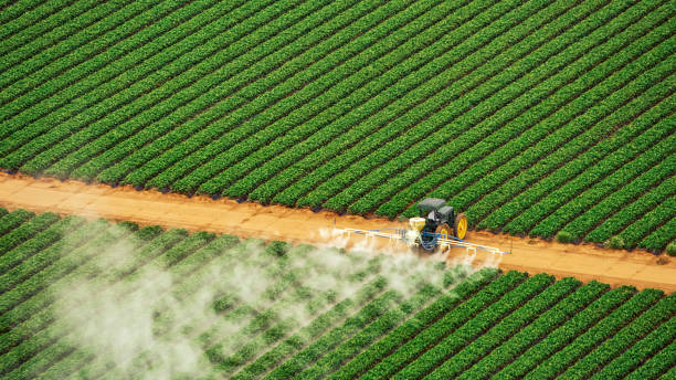 Best Commercial Pest Control Services  in New Castle, DE