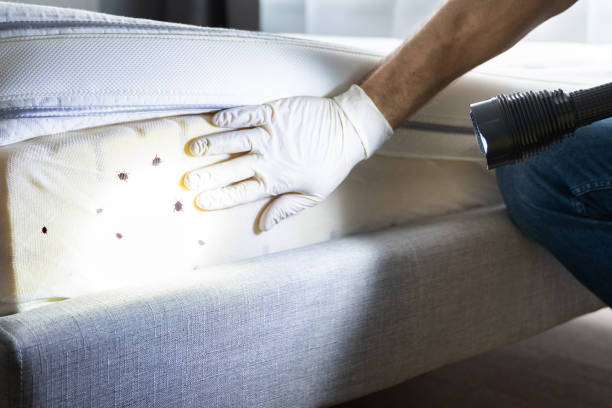 Best Bed Bug Extermination  in New Castle, DE